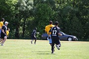 OTFL Gallery Image